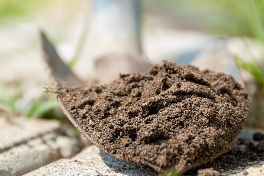Soil Stabilization Services in Auburndale FL